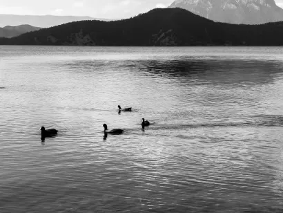 SlotoCash Casino Mobil App